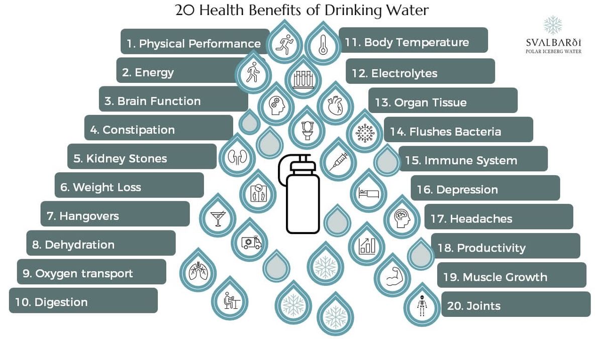 The Essential Role of Water in Digestion and Overall Health