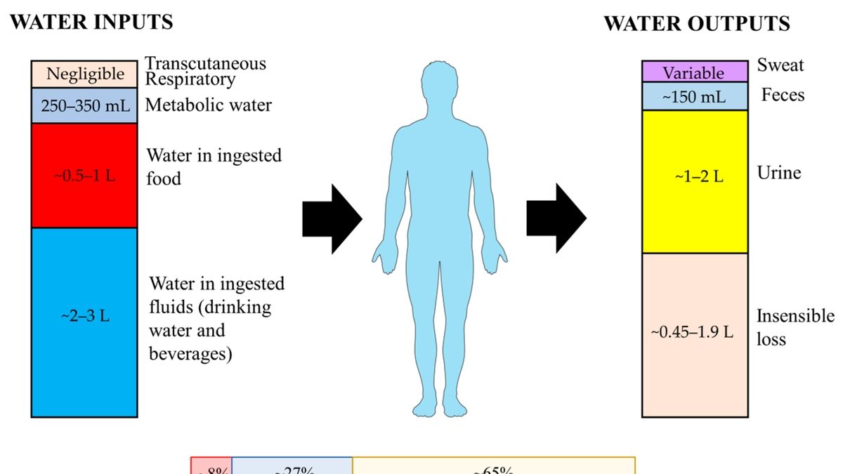 Prevent Dehydration In Older Adults Older Adults Pinterest