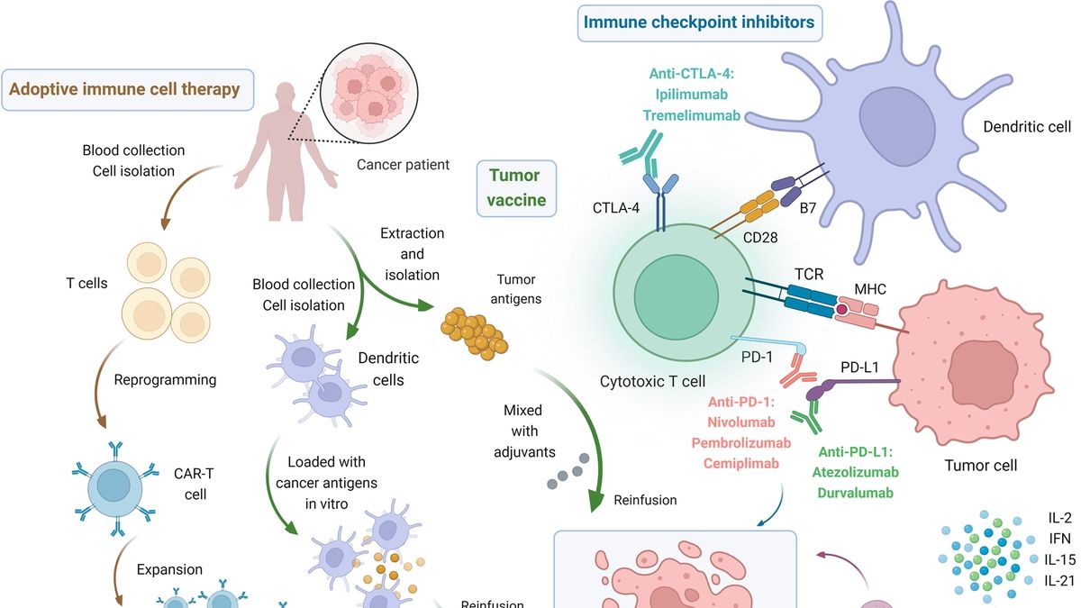 Liquid Biopsies: A Promising Tool to Predict Lung Cancer Patient ...