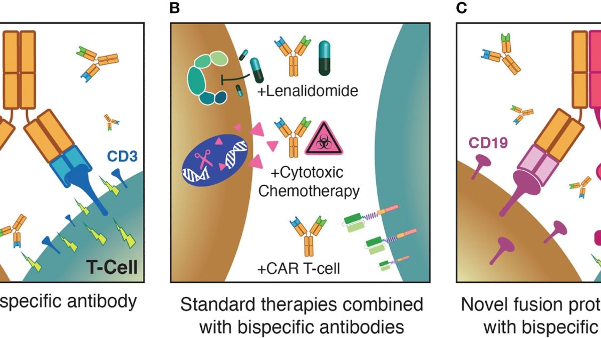 The Transformational Role of T-cell Engaging Therapies in Diffuse Large ...