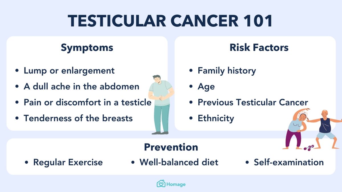 Understanding Testicular Cancer Key Facts And Practical Advice