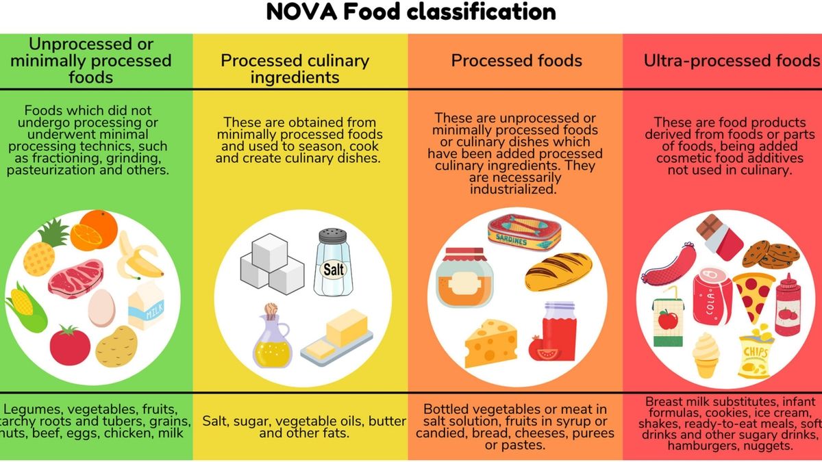 The Health Hazards Of Ultra-Processed Foods: Insights From Experts