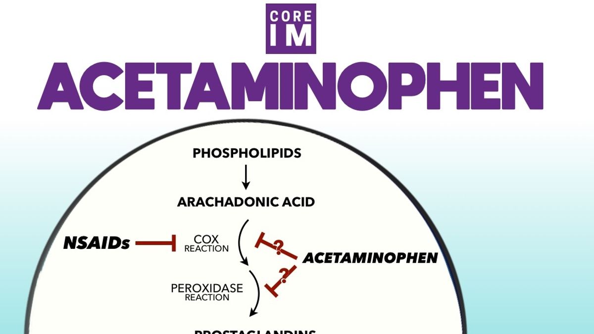 Understanding Acetaminophen How this Common Painkiller Works and its Potential Risks