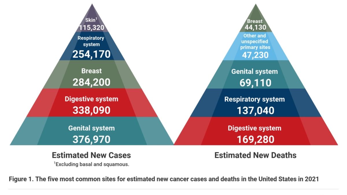 American Cancer Statistics Report 2021 20240117204221 