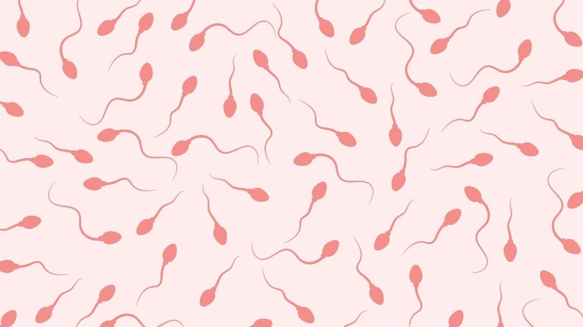 The Impact of Semen Microbiome Imbalances on Male Fertility