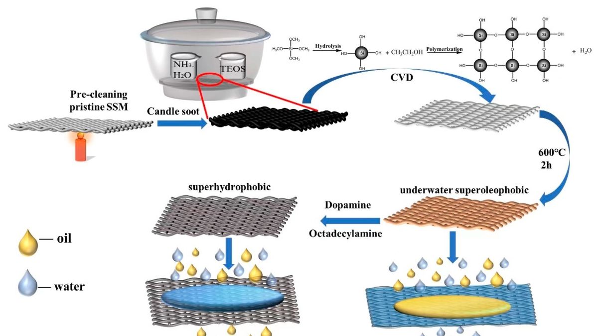 Innovative Hydrophobic-Coated Stainless Steel Mesh: A Promising ...