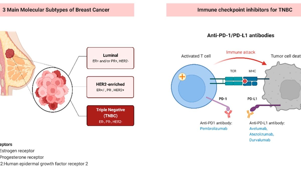 Understanding Intratumor Heterogeneity In Triple-Negative Breast Cancer ...