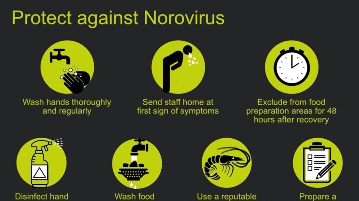 Norovirus: The Common Cause Of Stomach Flu And Ways To Prevent It