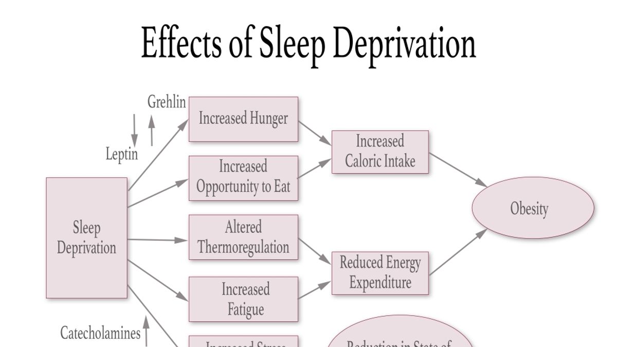 The Sleep Apnea-Hunger Connection: Understanding The Impact Of Sleep ...