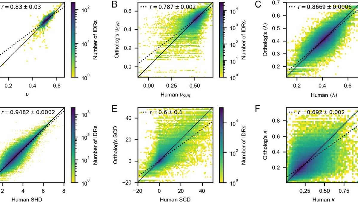 Deciphering Intrinsically Disordered Regions: A Deep Dive Into Sequence ...