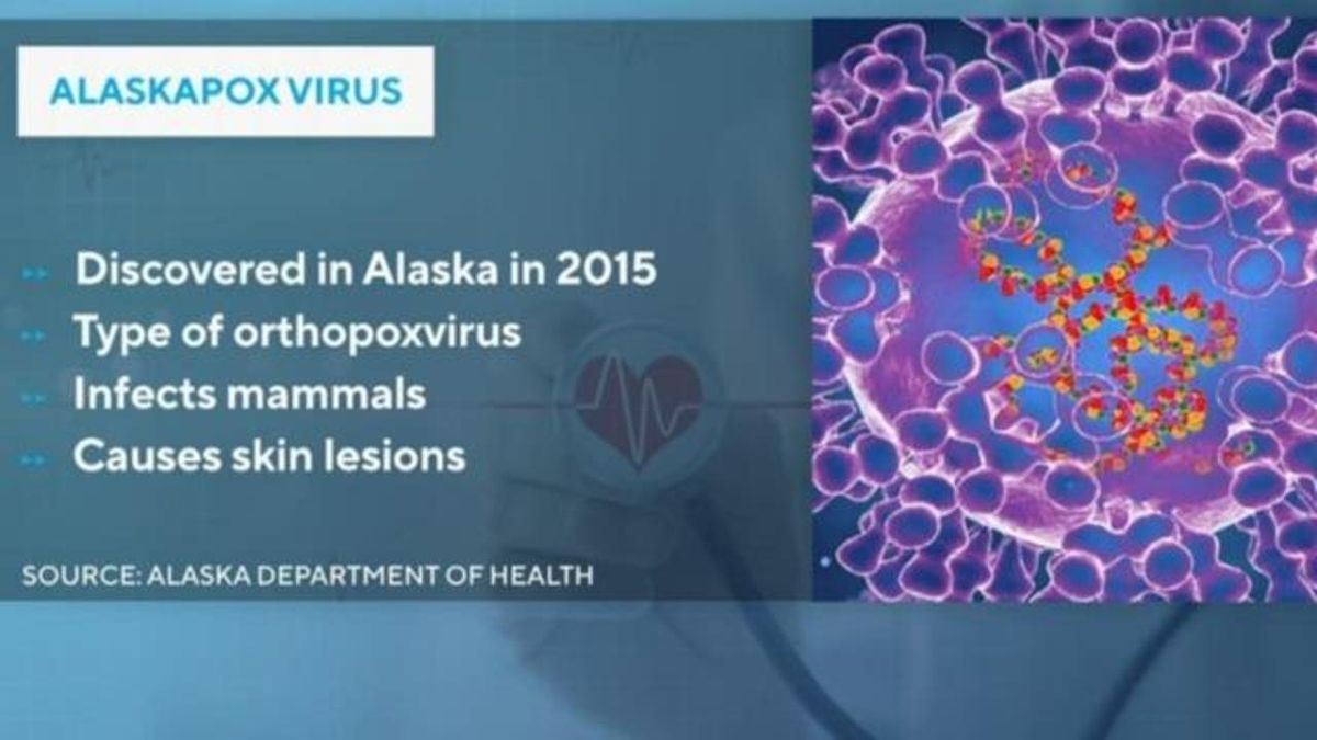 The Alaskapox Virus: Understanding The Threat And How To Protect Ourselves