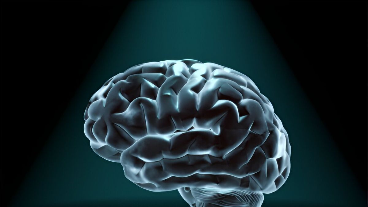 American Academy of Neurology Issues Updated Guidelines on Brain Death ...