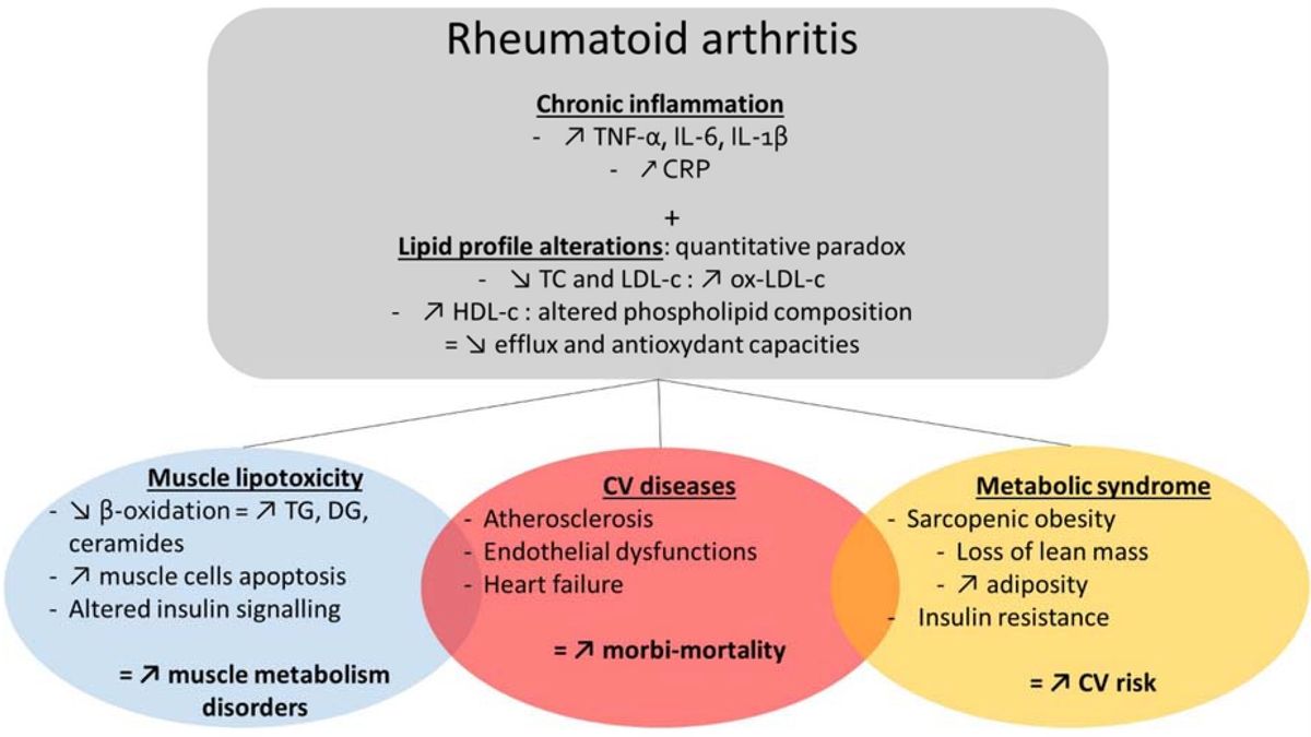 The Power of Omega 3 Fatty Acids in Managing Rheumatoid Arthritis