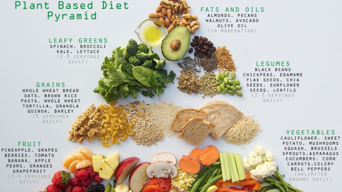 Plant Based Diet for Beginners - Overview of Plant-Based Diet Benefits