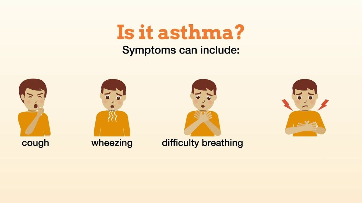 Understanding the Complexities and Challenges in Diagnosing Asthma in ...