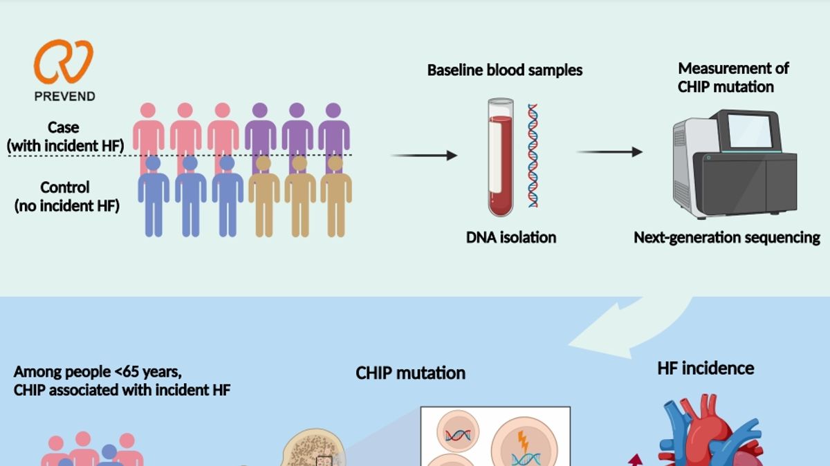 New Insights into Clonal Hematopoiesis and its Link to Heart Failure