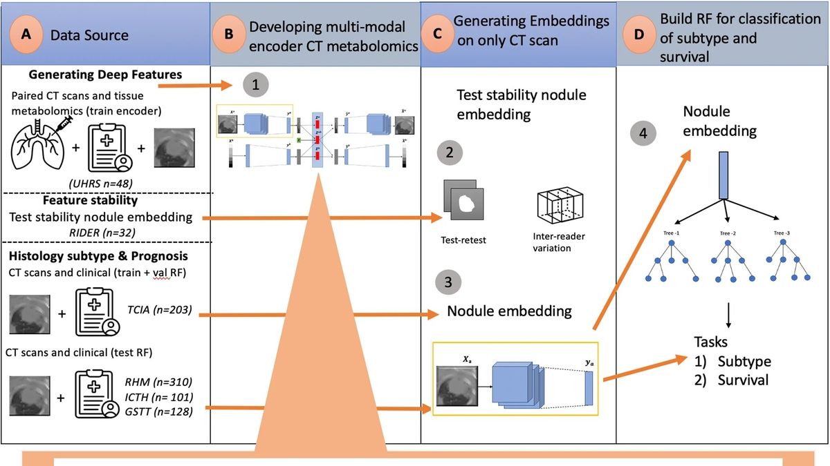 Imperial Researchers Develop AIPowered 'Virtual Biopsy' for Lung