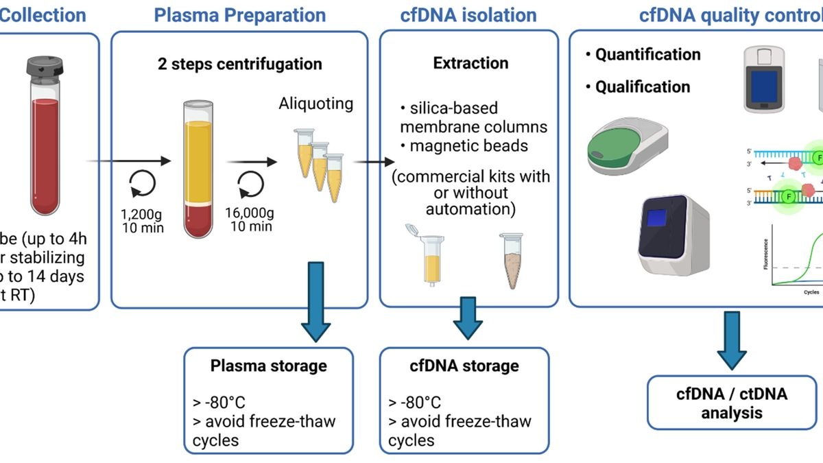 Next-Generation Sequencing of Cell-Free DNA: A New Horizon in Cancer ...