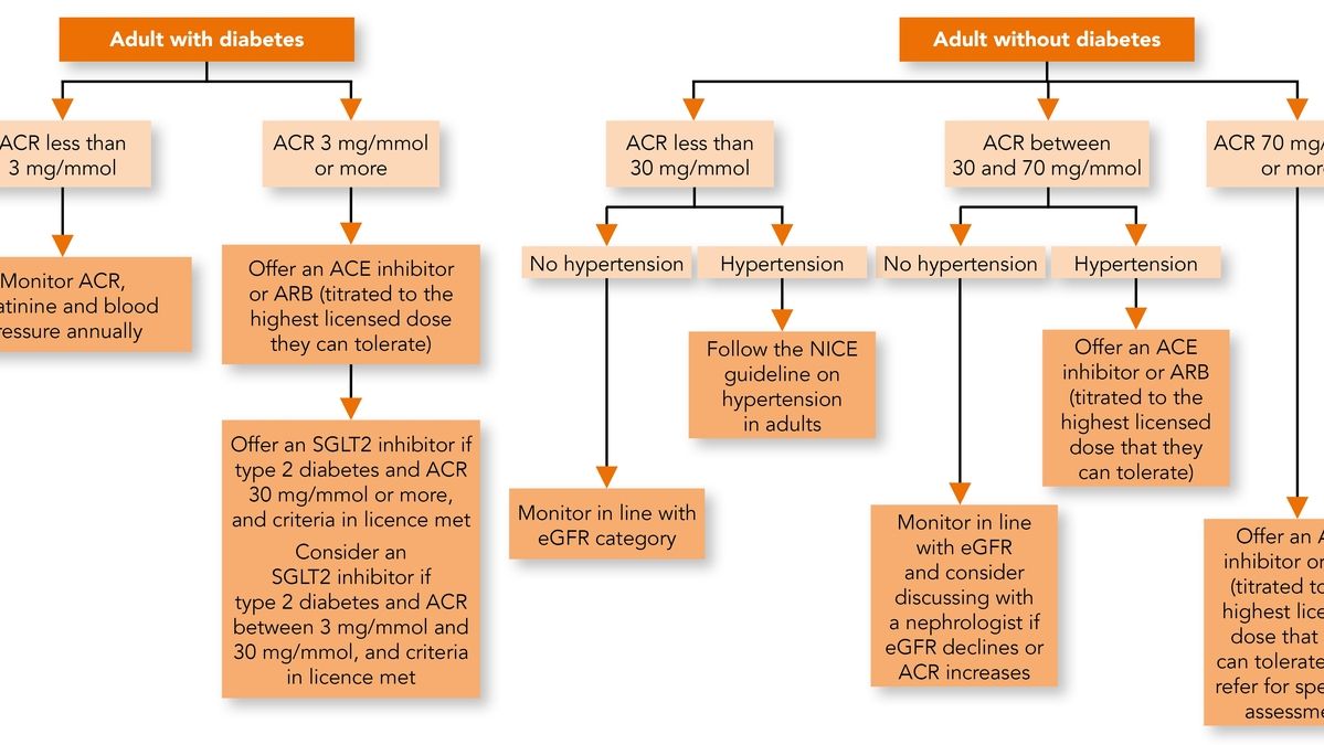 A Holistic Approach to Chronic Kidney Disease: Early Detection