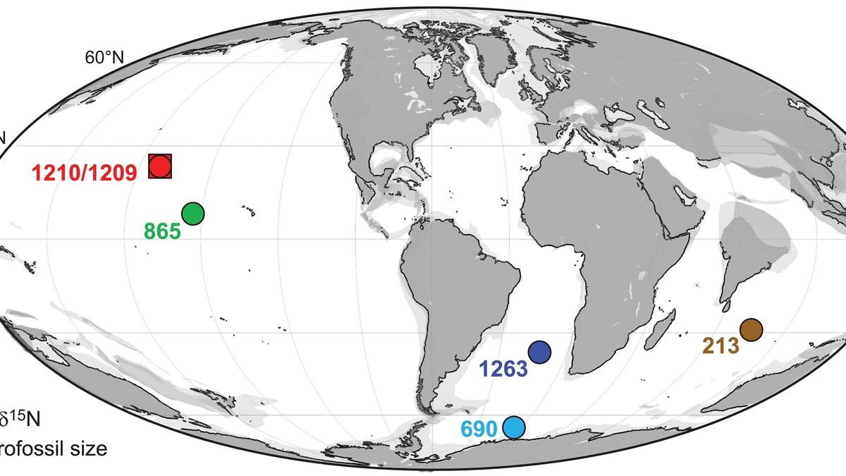 Implications of Tropical Ocean Oxygenation during the Paleocene-Eocene ...