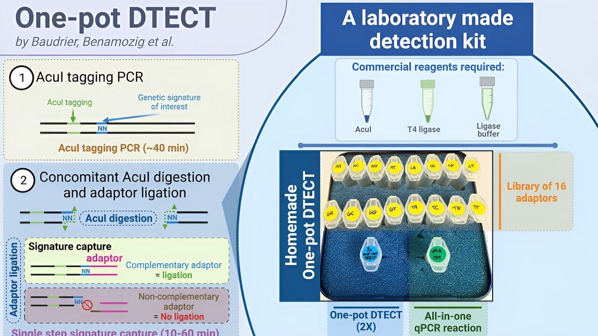 Revolutionary OnePot DTECT A GameChanger in Detecting