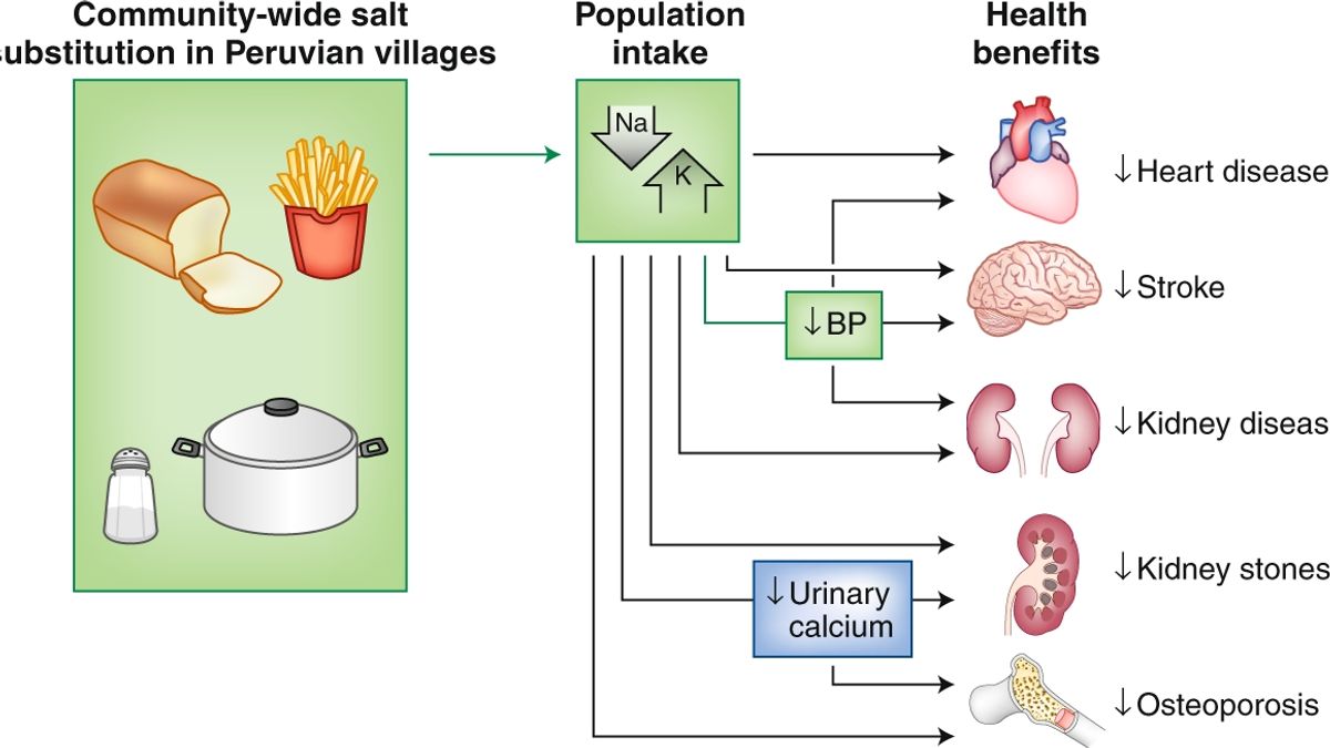 PotassiumEnriched Salt Substitute A Potential Solution to