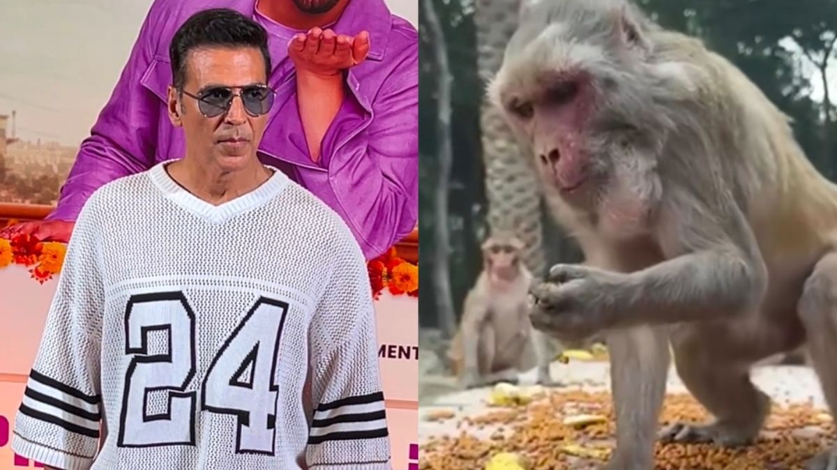 Akshay Kumar feeds nutritious food to Ayodhya monkeys; Video