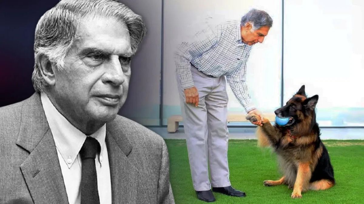 आखिर अपने कुत्ते टीटो के नाम क्या वसीयत कर गए Ratan Tata, लिख दी ये बड़ी बात, जानें क्या हैं देश में नियम