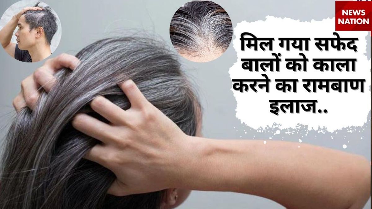 देश – नेचुरल तरीके से सफेद बालों को कैसे करें काला? आंवला पाउडर में मिलाकर लगाएं 2 चीजें #INA