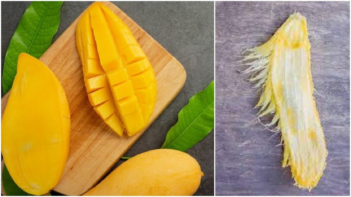 Mango Kernels Health Benefits आम खाते हुए भूल कर भी न करें ये गलती... अब गुठलियों से होगा मुनाफा!