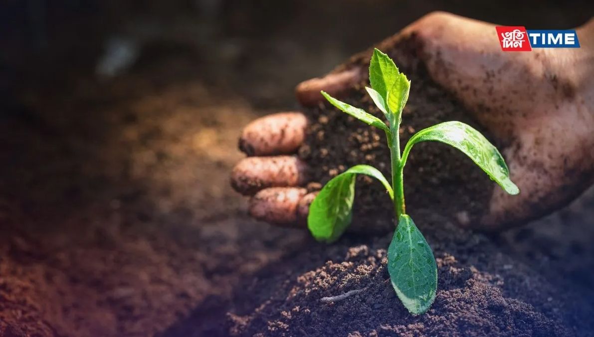 World Soil Day 2024 Date, History, Theme, Quotes, Speech and More