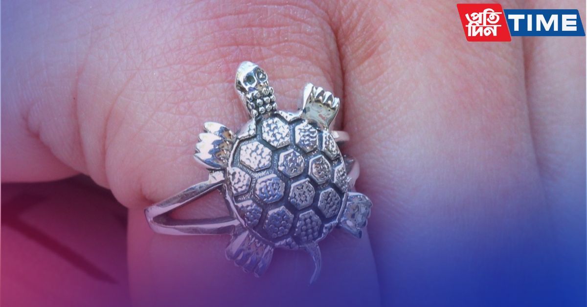 Silver turtle ring price new arrivals