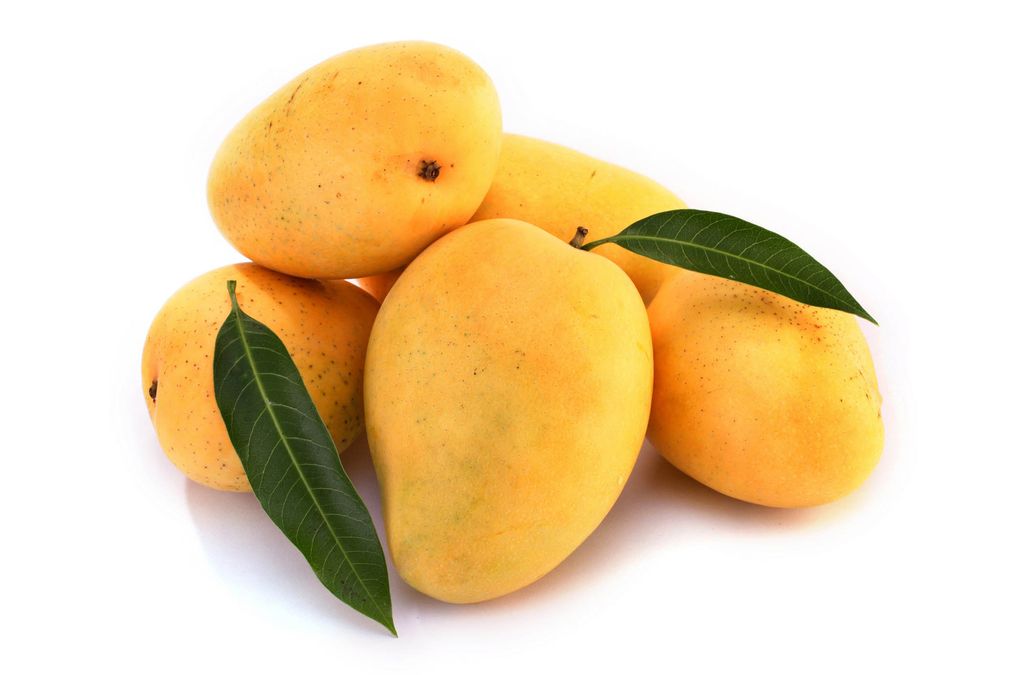 Mangoes of India
