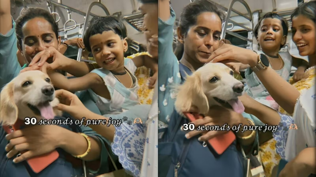 Mumbai Local Coach Lights Up As Pet Dog Pops Out Of Commuter’s Bag