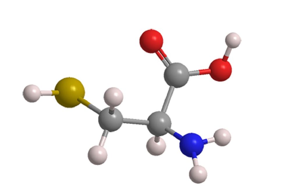 What Is Cysteine And What's Its Connection To Glutathione?