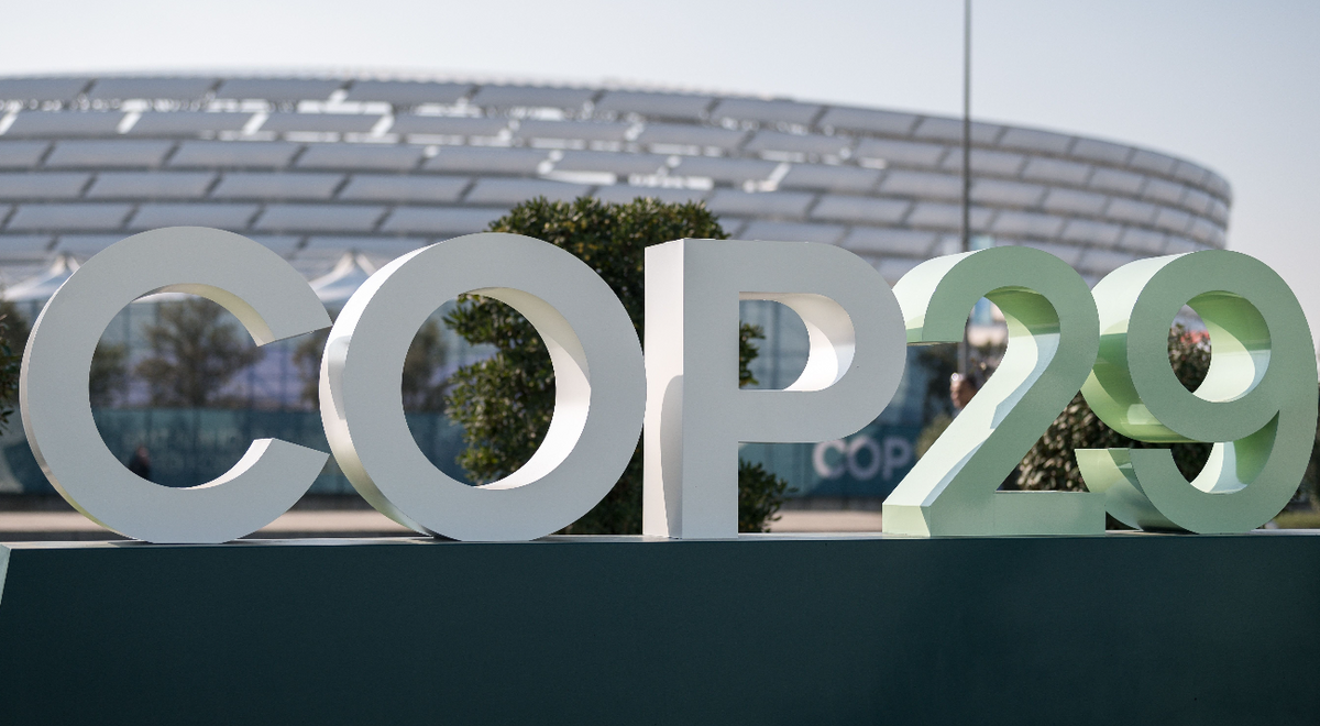 Driving Innovation and Green Transformation at COP29: UNIDO's Sustainable Impact