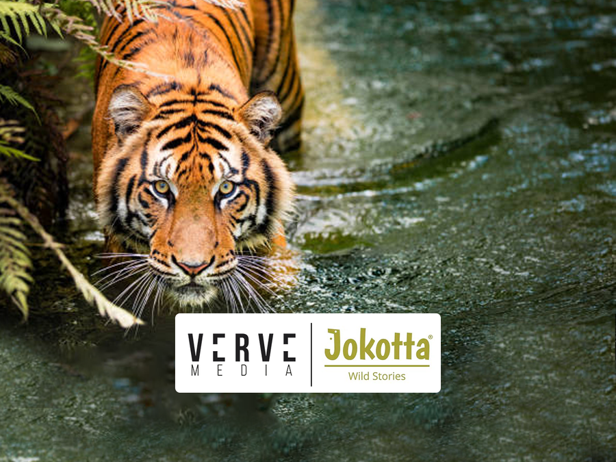 Verve Media wins SEO mandate for Jokotta Discoveries