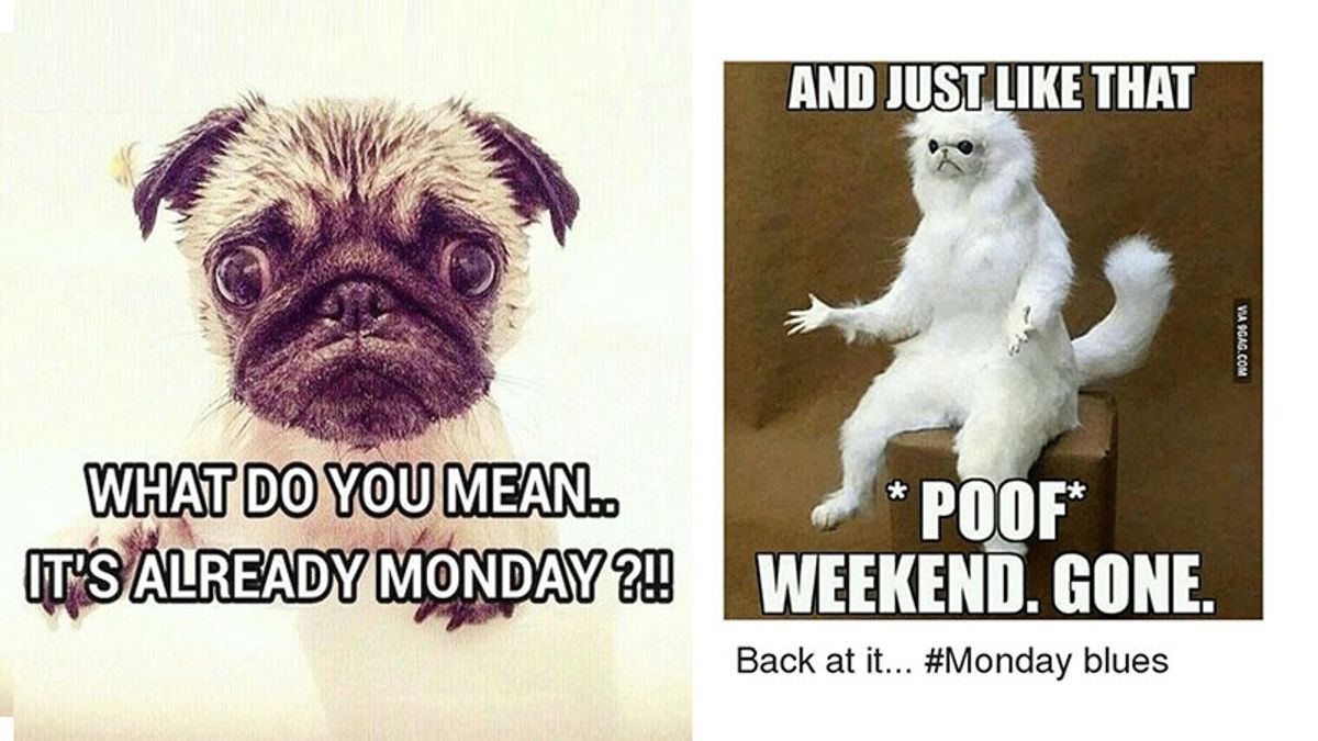 Random Memes To Make Your Monday Better - Memebase - Funny Memes