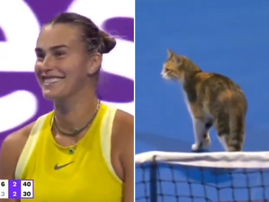 WATCH: Cute interruption halts Qatar Open 2025 showdown between Aryna