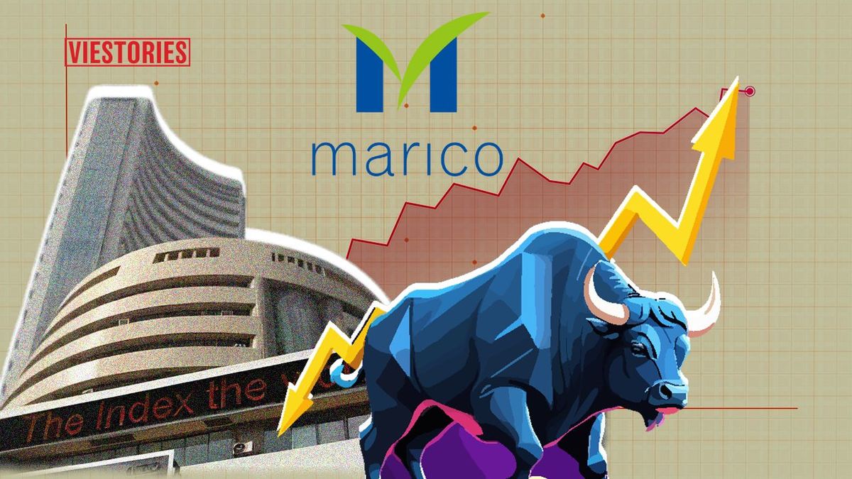 Marico Share Price Target 2025, 2026 to 2030