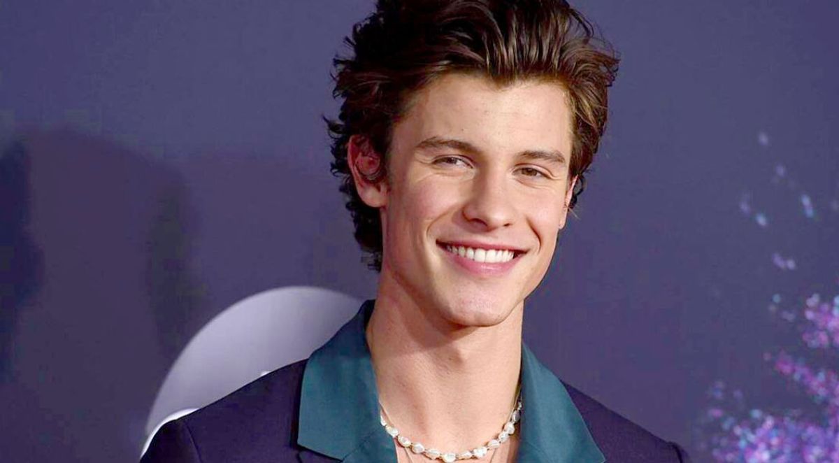 Shawn Mendes reveals how therapy helped him 'better version of