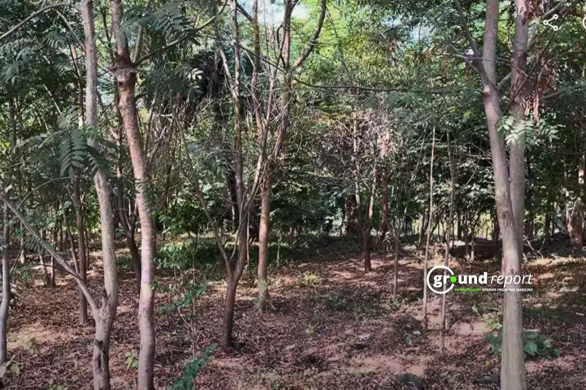 Chandanpura Nagar Van Bhopal