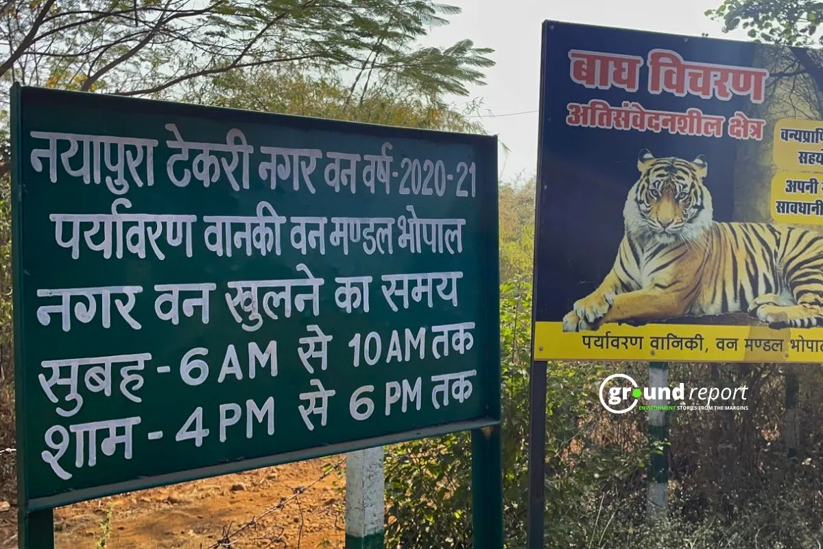 Nayapura Urban Forest Bhopal