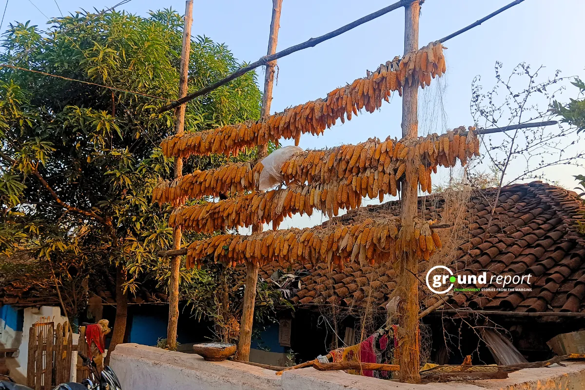water crisis in seoni