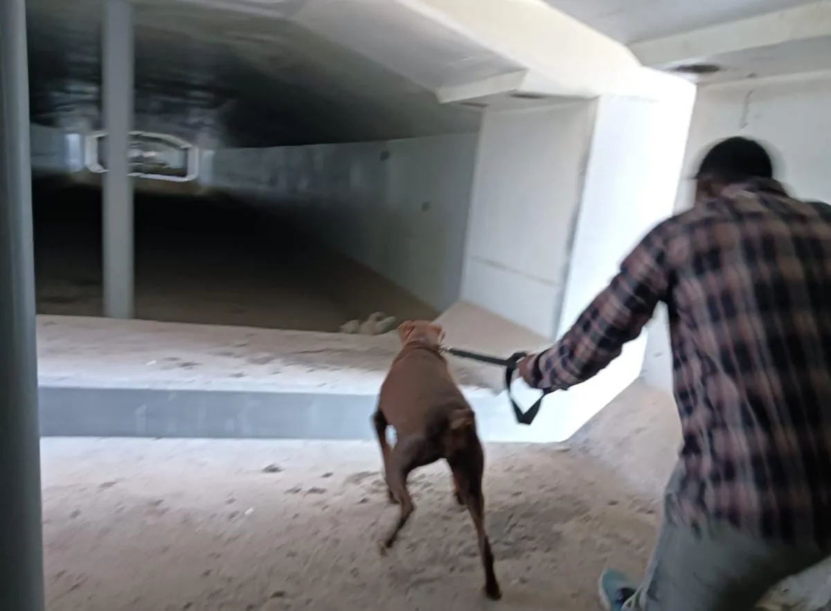 Bullet Train Project 