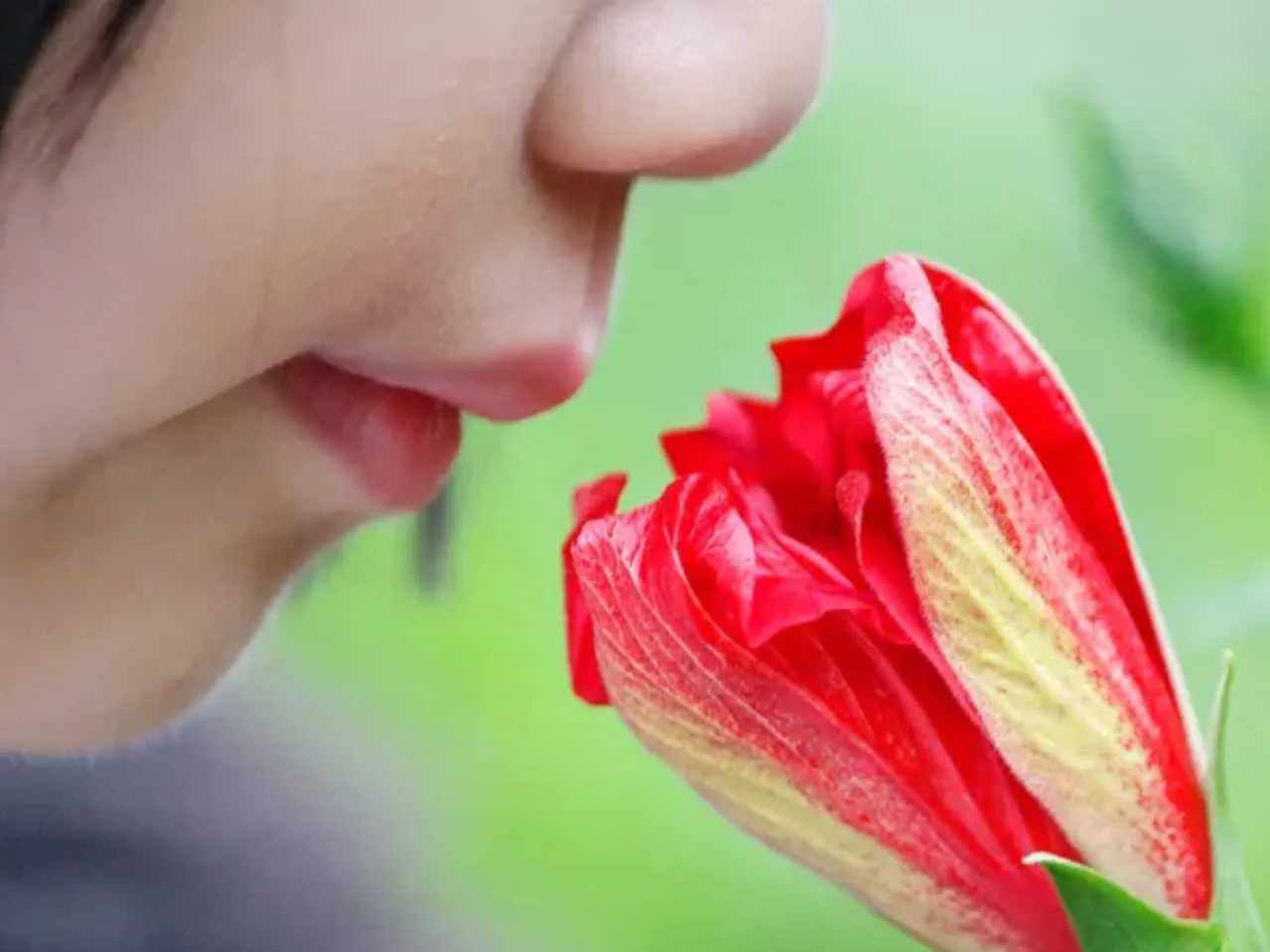 kid smelling flower