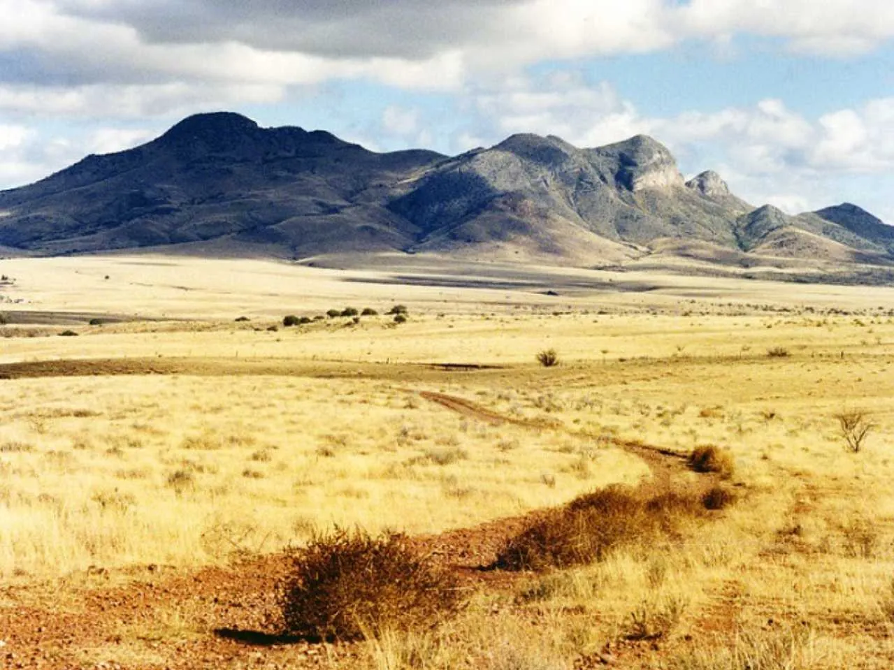 Patagonian desert