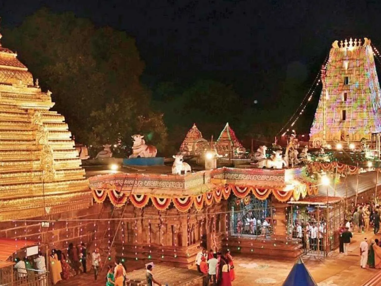 mallikarjuna temple in night
