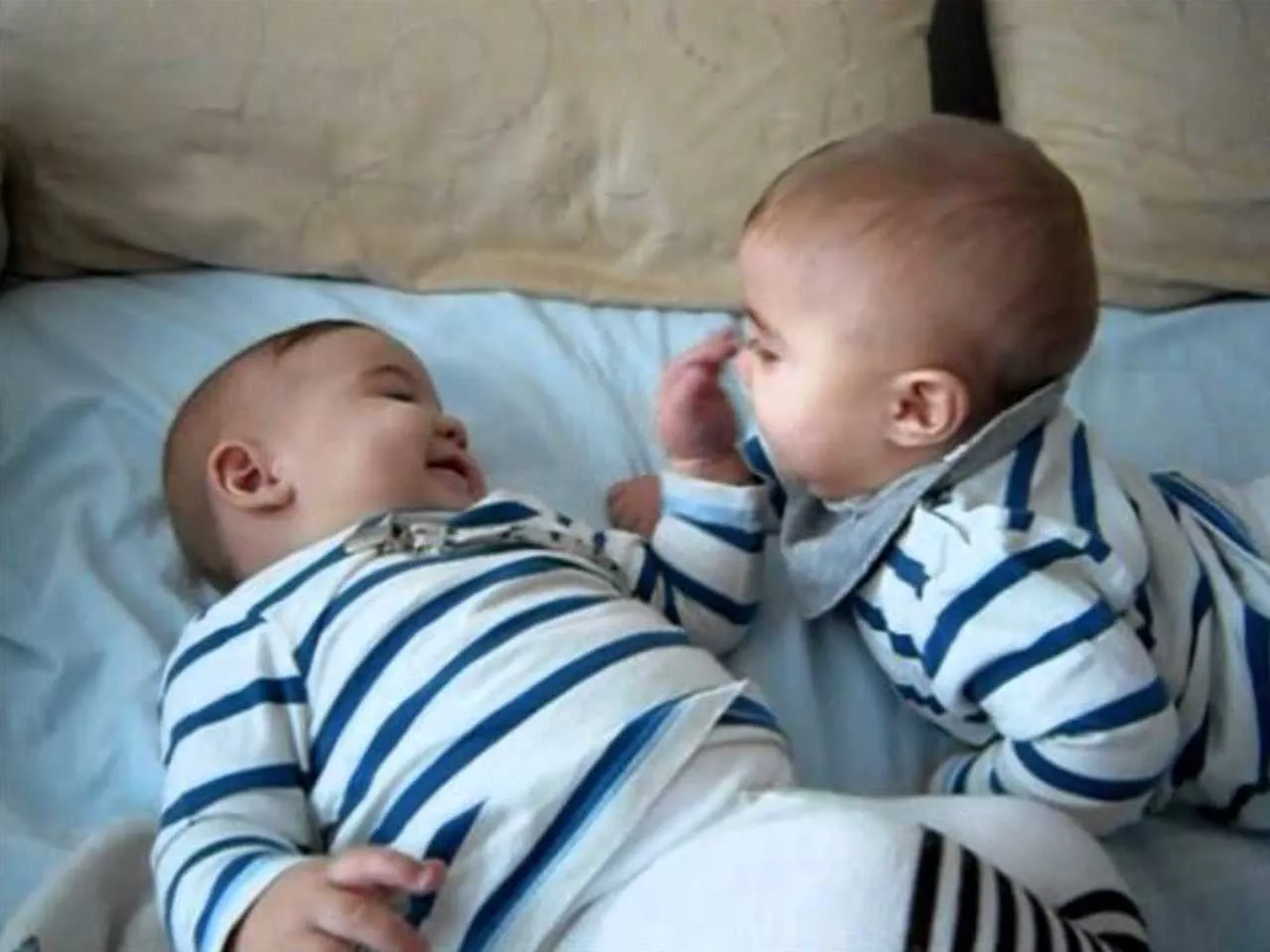 Two new born talking to each other
