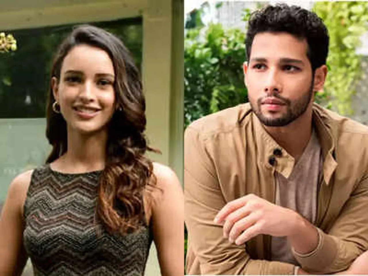  Siddhant Chaturvedi & Triptii Dimri
